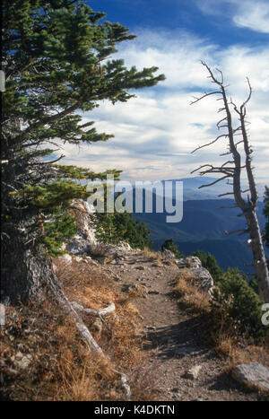 Albuquerque, New Mexico, USA. Cibola National Forest, von Sandia Crest, der die Stadt von 10.000 'ASL mit Blick auf gesehen Stockfoto