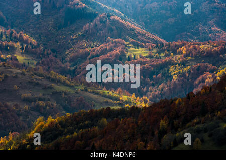 Schöne orange und rot Laub im Herbst Wald auf Hügeln. Tolle Atmosphäre in den Bergen Stockfoto