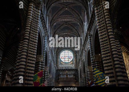 In Siena Catedral, Siena Toskana Italien Europa EU Stockfoto