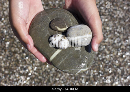 Große graue nasse See Stein in den Händen Stockfoto