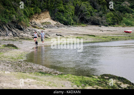 Gannel Mündung - Ein paar Spaziergänge mit ihrem Hund entlang dem Fluss Gannel bei Ebbe in Newquay, Cornwall. Stockfoto