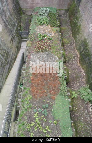 Ehemalige erz Bunker mit kleinen Pflanzen im Garten im Landschaftspark Duisburg-Nord, Deutschland Stockfoto