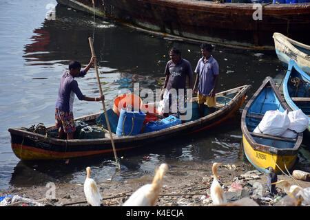 Mumbai, Indien. 5. September 2017. Koli Angeln Gemeinschaft Mann und Frauen an versova Fischmarkt in Mumbai. Stockfoto