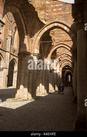 Ruinen der Abtei von San Galgano, Chiusdino Toskana Italien Europa EU Stockfoto