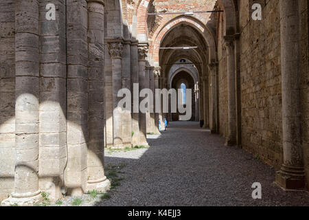 Ruinen der Abtei von San Galgano, Chiusdino Toskana Italien Europa EU Stockfoto