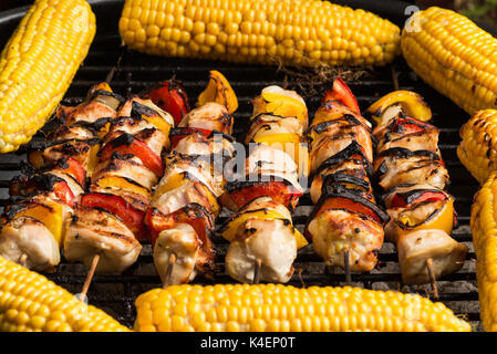 Grillen Huhn Fleischspieße mit Zwiebeln und Paprika von süßen Hühneraugen eingerahmt. Stockfoto