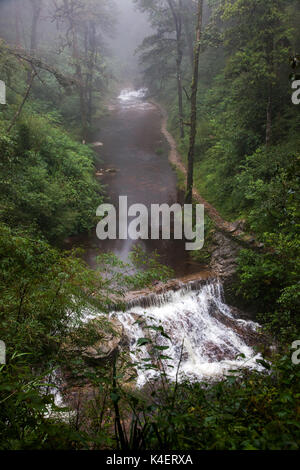 Tinh yeu oder Liebe Wasserfall im Dschungel in der Nähe von Sa Pa, Vietnam Stockfoto