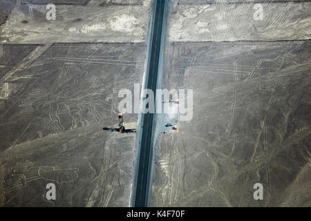 Panamericana Sezieren des Alten geoglyph der Eidechse, und der Baum, und die Hände, Nazca Linien, Nazca, ICA-Region, Peru, Südamerika Stockfoto