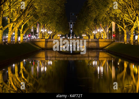 Nacht der Stadtgraben von Königsallee. Eine beliebte Touristenattraktion in Düsseldorf. Bäume sind beleuchtet. Stockfoto