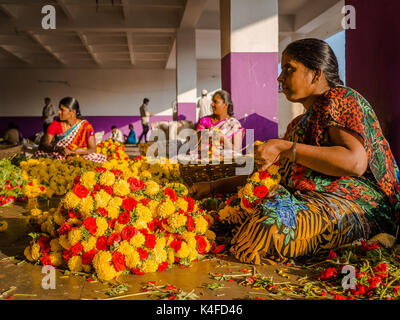 BANGALORE, INDIEN - 06. Juni 2017: blumenverkäufer an KR Markt in Bangalore. in Bangalore, Indien Stockfoto