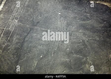 Der Kolibri, Nazca Linien, (alte Geoglyphen und Weltkulturerbe) in der Wüste in der Nähe von Nazca, ICA-Region, Peru, Südamerika - Antenne Stockfoto