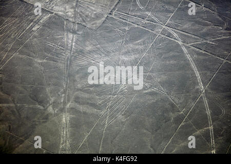Der Condor, Nazca Lines, (alte Geoglyphen und Weltkulturerbe) in der Wüste in der Nähe von Nazca, ICA-Region, Peru, Südamerika - Antenne Stockfoto