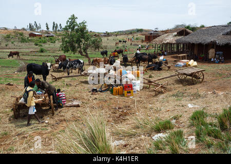 SOFIA, MADAGASKAR NOVEMBER 4.2016 madagassischen Völker auf der Farm in ländlichen Sofia Stadt. Gewöhnliche Völker leben auf der Straße. Madagaskar, 4. November. 2016 Stockfoto