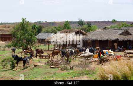 SOFIA, MADAGASKAR NOVEMBER 4.2016 madagassischen Völker auf der Farm in ländlichen Sofia Stadt. Gewöhnliche Völker leben auf der Straße. Madagaskar, 4. November. 2016 Stockfoto