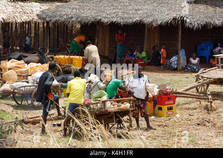 SOFIA, MADAGASKAR NOVEMBER 4.2016 madagassischen Völker auf der Farm in ländlichen Sofia Stadt. Gewöhnliche Völker leben auf der Straße. Madagaskar, 4. November. 2016 Stockfoto