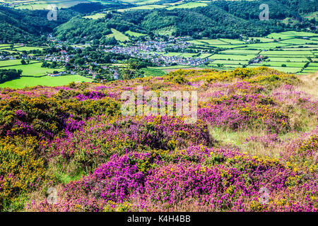 Der Blick über Porlock im Exmoor National Park, Somerset. Stockfoto