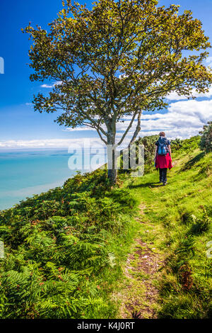 Junge Wanderer Spaziergänge entlang der Südwestküste Pfad im Exmoor National Park, Somerset. Stockfoto