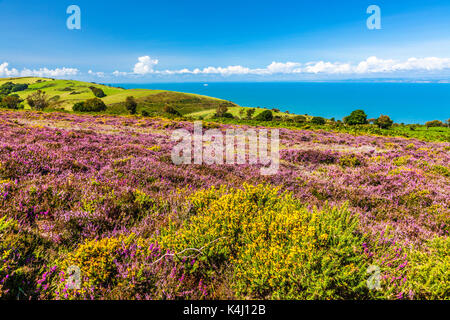 Der Blick über den Kanal von Bristol aus der südwestlichen Küste Pfad im Exmoor National Park, Somerset. Stockfoto