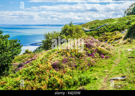 Der Blick über den Kanal von Bristol aus der südwestlichen Küste Pfad im Exmoor National Park, Somerset. Stockfoto
