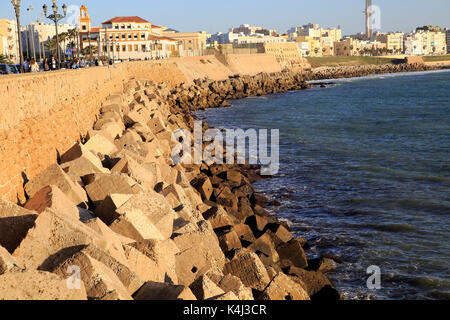 Küsten Blick östlich von Rock Rüstung Küstenschutz in der Nähe von Stadtzentrum, Cadiz, Spanien Stockfoto