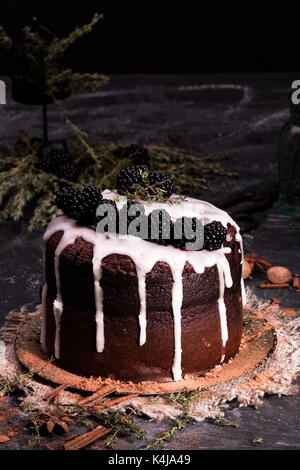 Unglaublicher Schokoladenkuchen. Dunkler und feuchter Schokoladen-Fudge-Kuchen. Kuchen mit Brombeeren und Zimt auf dunklem Hintergrund. Stockfoto