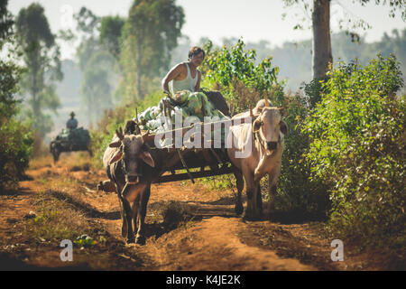 Shan Staat, Myanmar Dez. 26, 2013. Das wirkliche Leben in ländlichen Shan Staat, Myanmar, Birma. Stockfoto