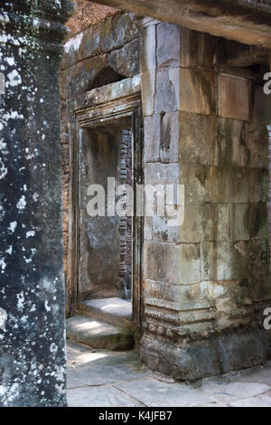 Ruinen von Ta Prohm Tempel Angkor Archäologischer Park, krong Siem Reap, Siem Reap, Kambodscha Stockfoto