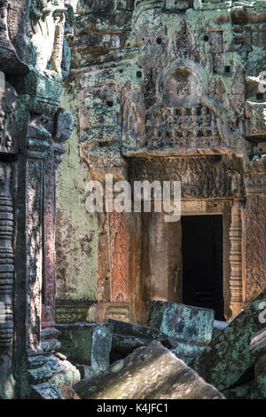 Ruinen von Ta Prohm Tempel Angkor Archäologischer Park, krong Siem Reap, Siem Reap, Kambodscha Stockfoto