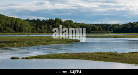 Malerischer Blick auf einem Fluss im Wald, ceilidh Trail, mabou, Cape Breton Island, Nova Scotia, Kanada Stockfoto