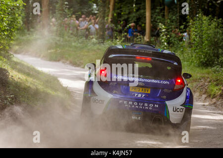 2001 Ford Focus WRC auf dem Forest rally Stage mit Fahrer David Wright am Goodwood Festival 2017 von Geschwindigkeit, Sussex, UK. Stockfoto