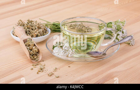 Tasse mit Schafgarbe Tee auf einem hölzernen Hintergrund Stockfoto