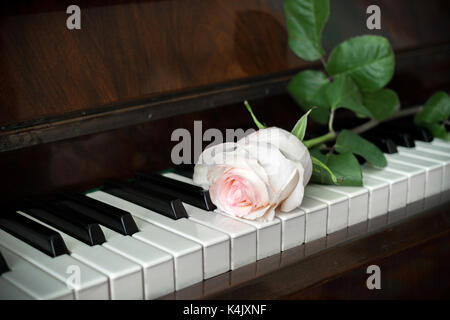 Piano Tastatur und eine blass rosa Rose liegt auf. Stockfoto