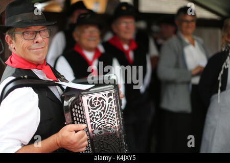 Akkordeon Folk Band, Alte Domancy Craft Festival, Haute-Savoie, Frankreich, Europa Stockfoto