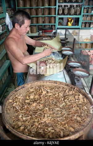 Pflanzliche Medizin Therapie, Traditionelle Chinesische Medizin, Pharmazie, Ho Chi Minh City, Vietnam, Indochina, Südostasien, Asien Stockfoto
