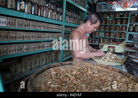Pflanzliche Medizin Therapie, Traditionelle Chinesische Medizin, Pharmazie, Ho Chi Minh City, Vietnam, Indochina, Südostasien, Asien Stockfoto