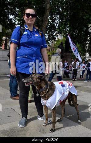 London, Großbritannien. 06 Sep, 2017. Tausende von Krankenschwestern Protest in Westminster, London gegen die Lohnkürzungen 6 September, 2017 Credit: Ajit Wick/Alamy leben Nachrichten Stockfoto