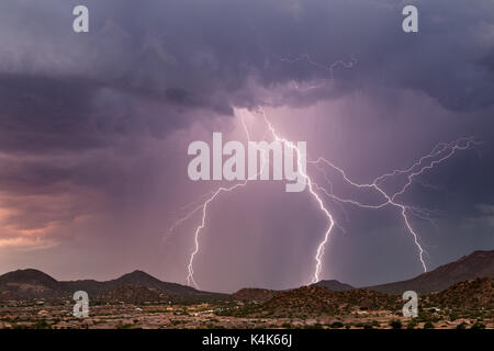 Monsun-Gewitter bringen starken Regen und lebhafte Blitze in die Wüste von Arizona in Mesa, Arizona, USA Stockfoto