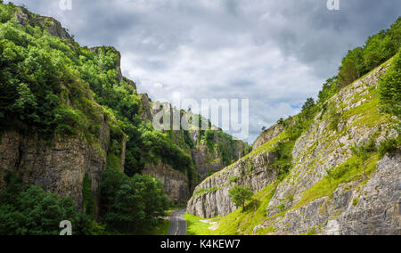 Die Kalksteinklippen der Cheddar Gorge in der Mendip Hills National Landscape, Somerset, England. Stockfoto