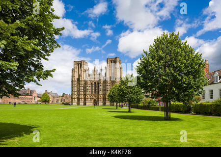 Wells Cathedral Cathedral Grün in der Stadt von Wells, Somerset, England. Stockfoto