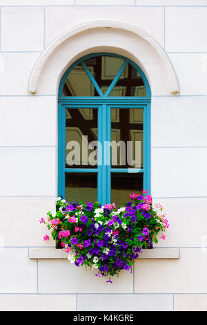 Fassade mit Fenster und Blumen, Unterfranken, Bayern, Deutschland Stockfoto