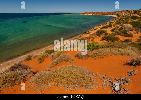 Herald Bight in Francois Peron National Park. Stockfoto