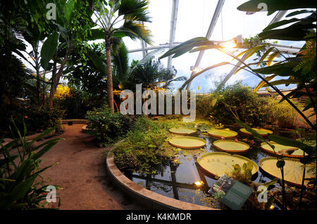 Die Gewächshäuser im Botanischen Garten in Aarhus, Dänemark Stockfoto