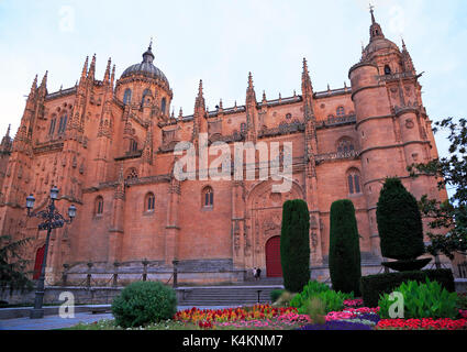 Salamanca Alte und Neue Kathedrale am späten Nachmittag, Spanien Stockfoto