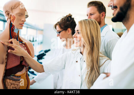 Studenten der Medizin untersuchen anatomische Modell im Klassenzimmer Stockfoto