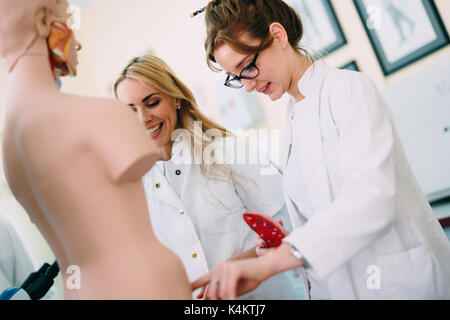 Studenten der Medizin untersuchen anatomische Modell im Klassenzimmer Stockfoto