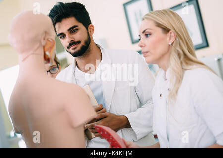 Studenten der Medizin untersuchen anatomische Modell im Klassenzimmer Stockfoto