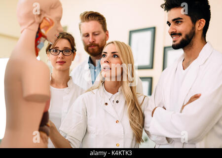 Studenten der Medizin untersuchen anatomische Modell im Klassenzimmer Stockfoto