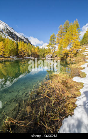 Holzhütte und bunte Bäume spiegeln sich im Lai da Palpuogna Albula Pass Bergün Kanton Graubünden-Engadin-Schweiz-Europa Stockfoto