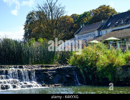 Auf dem Fluss Avon zwischen Badewanne und Bathampton somerset England Großbritannien Stockfoto