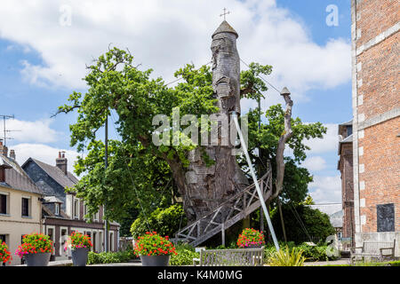 Frankreich, seine-Maritime (76), Allouville-Bellefosse, le chêne d'Allouville // Frankreich, seine-Maritime, Allouville-Bellefosse, die alte Eiche von Allouville Stockfoto